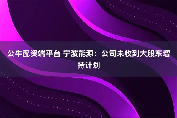 公牛配资端平台 宁波能源：公司未收到大股东增持计划